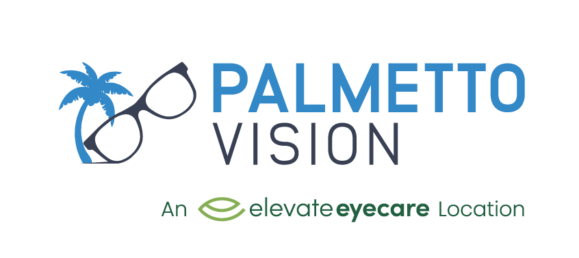 Palmetto-Vision Logo